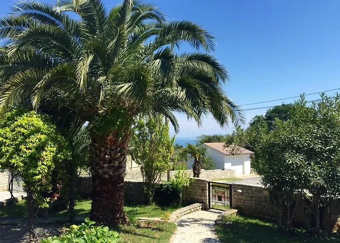 Cube 프레멘투라